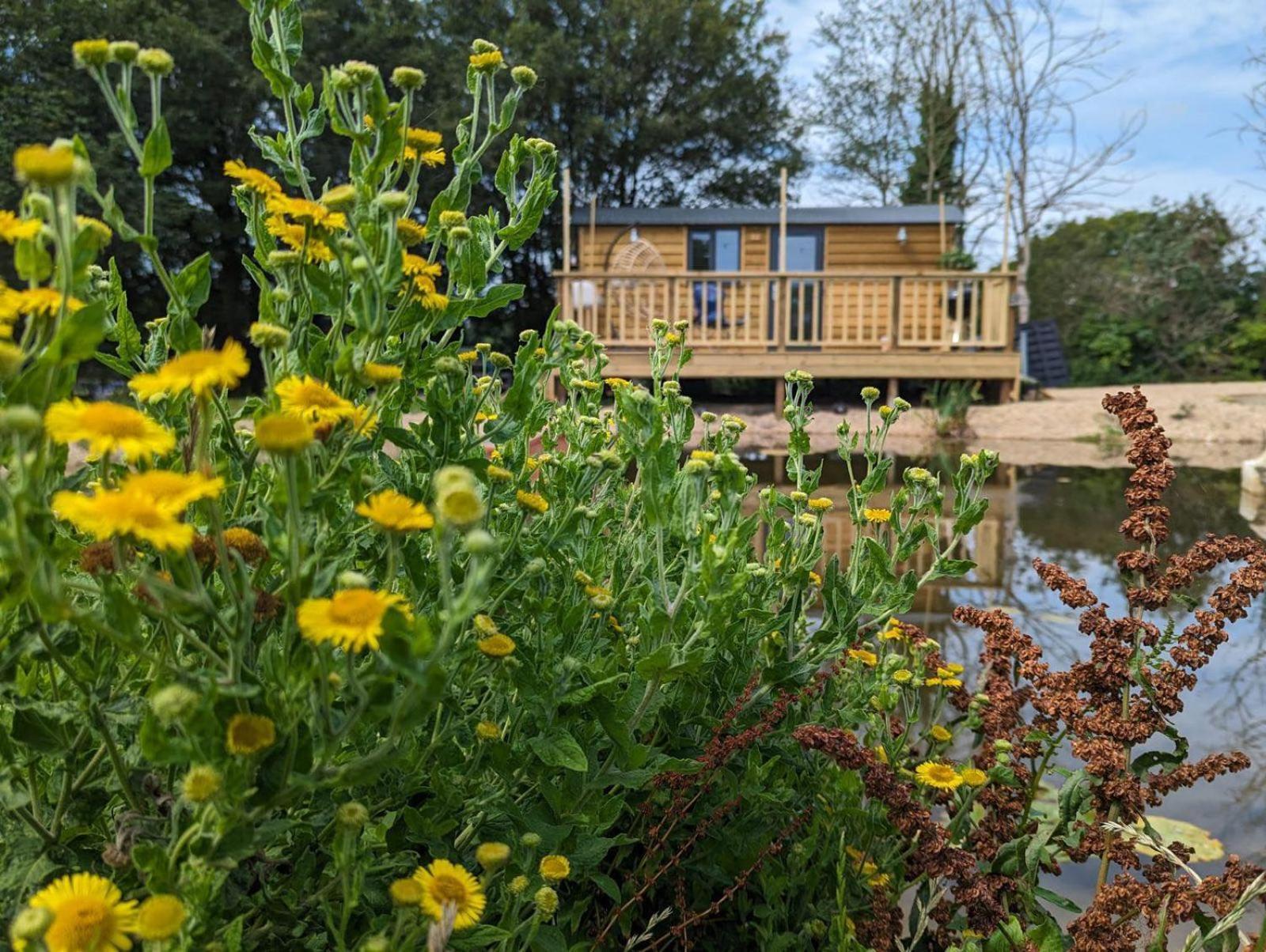Rusty Duck Retreat Shepherds Hut Shedfield Exterior photo